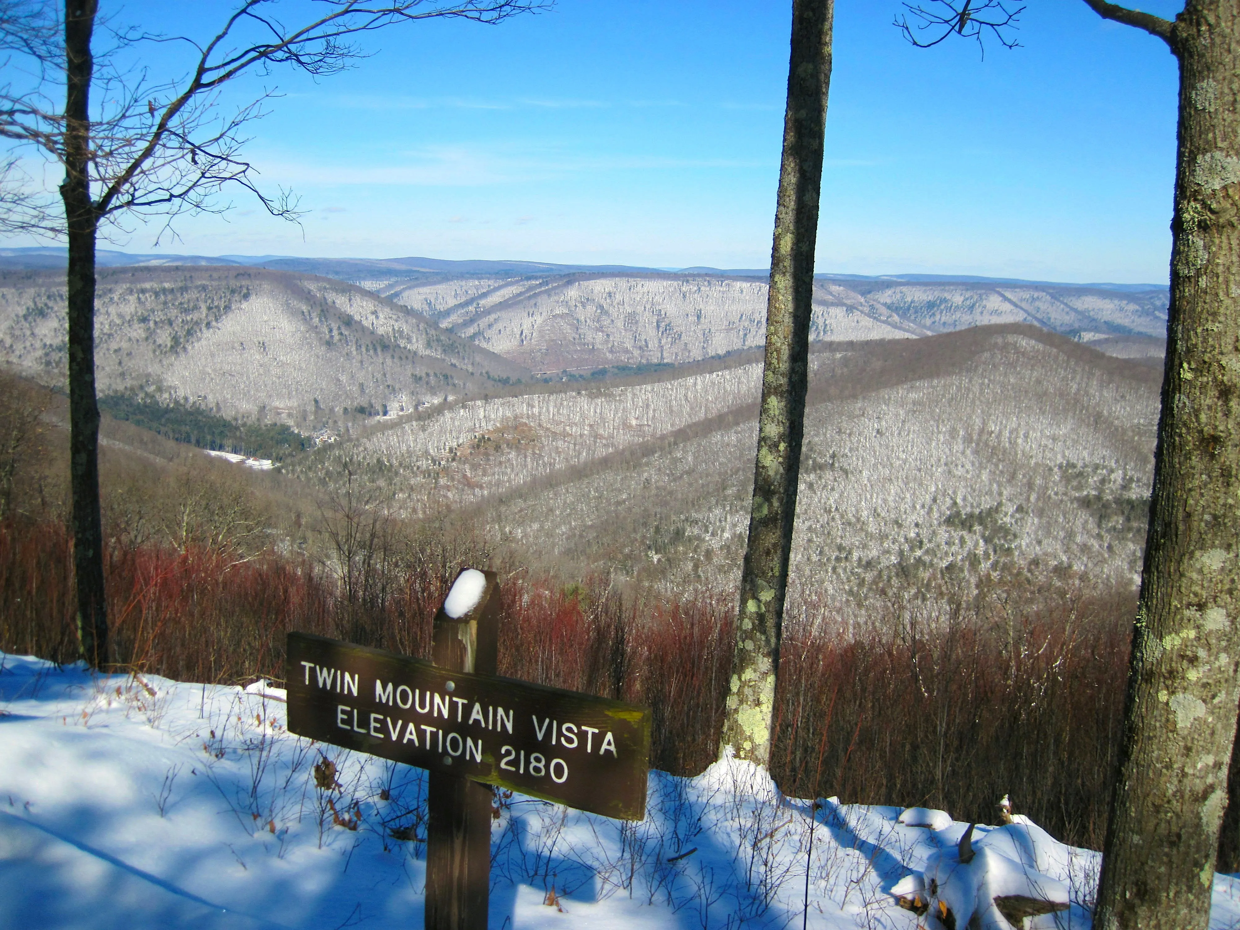 Pine Creek Lizard Map - Grand Canyon of Pennsylvania