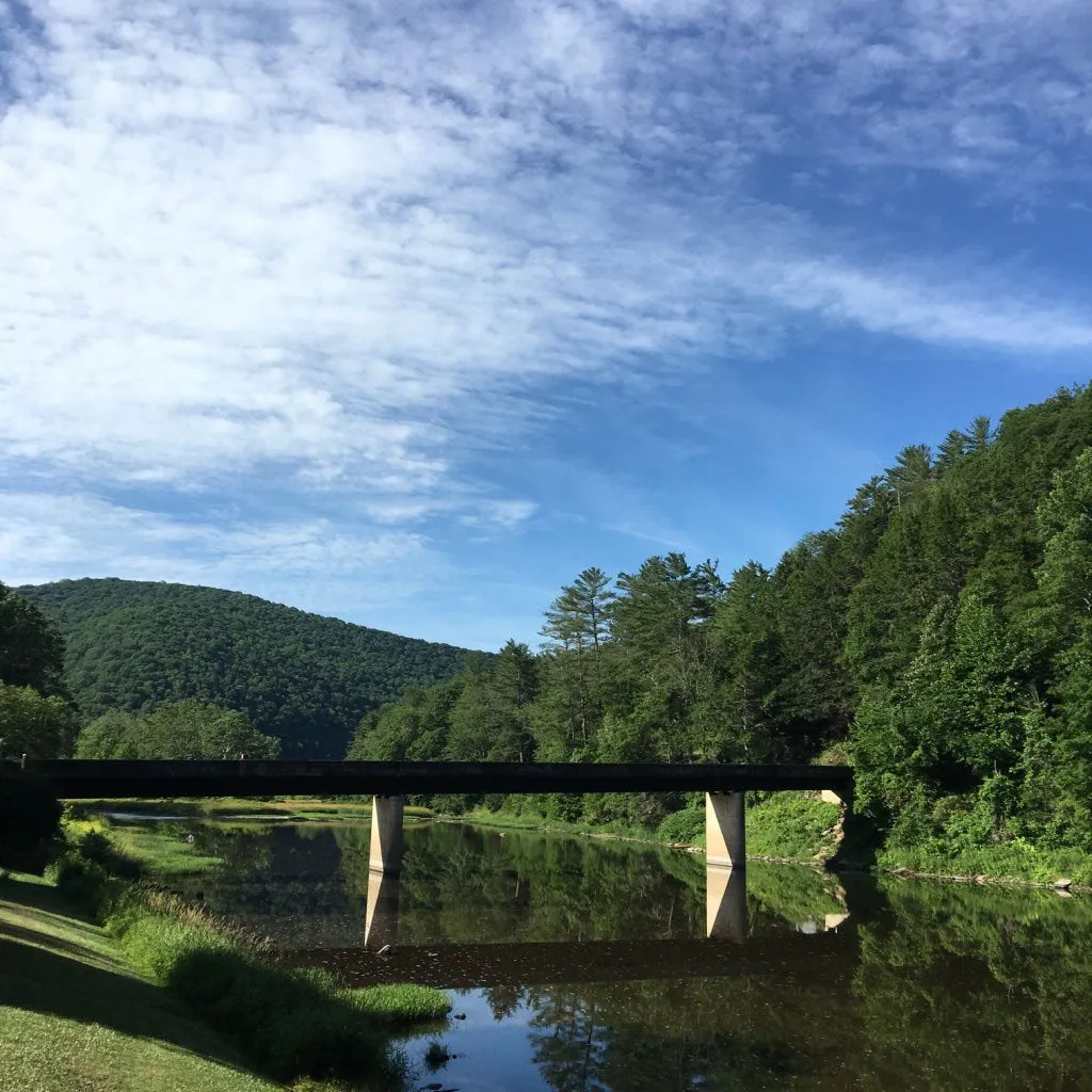 Pine Creek Lizard Map - Grand Canyon of Pennsylvania