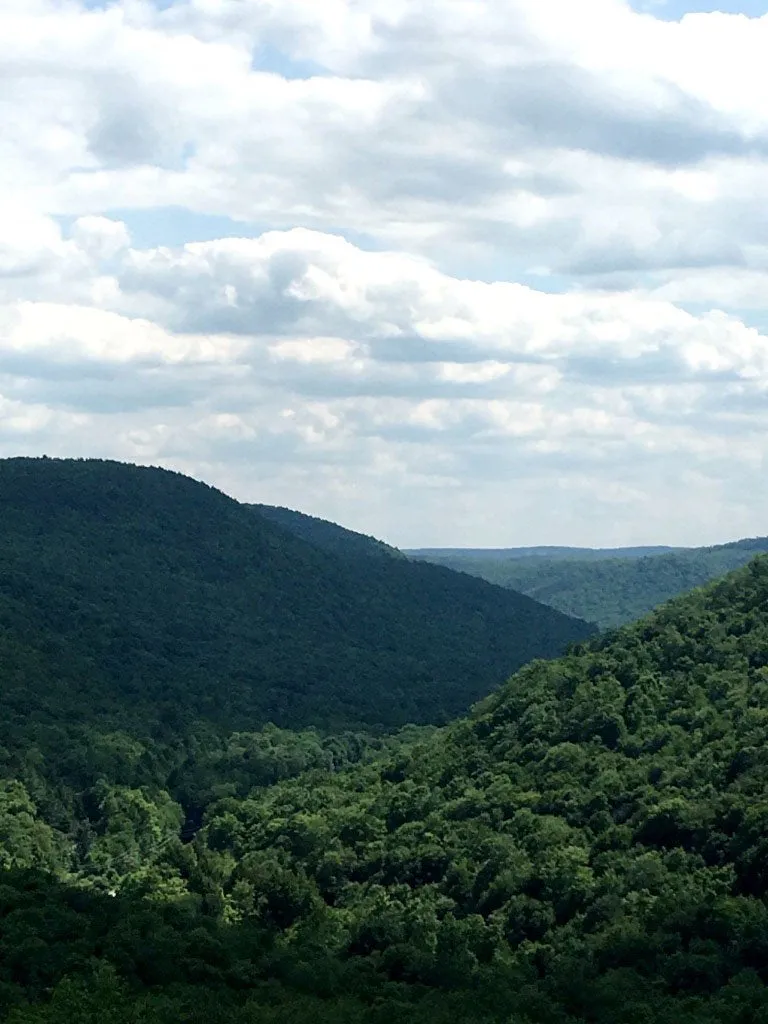 Pine Creek Lizard Map - Grand Canyon of Pennsylvania