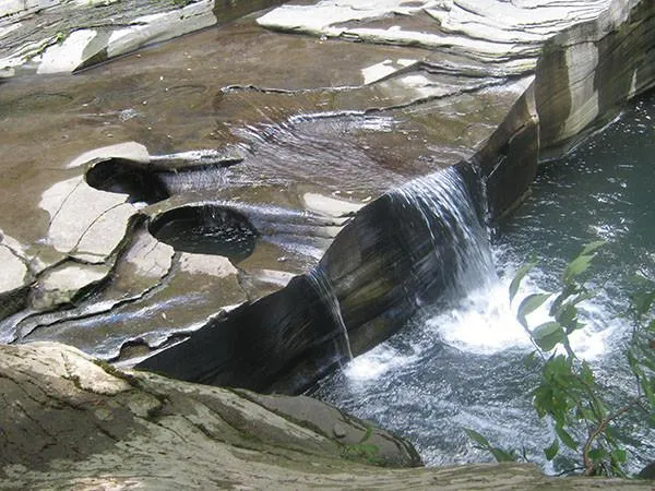 Pine Creek Lizard Map - Grand Canyon of Pennsylvania