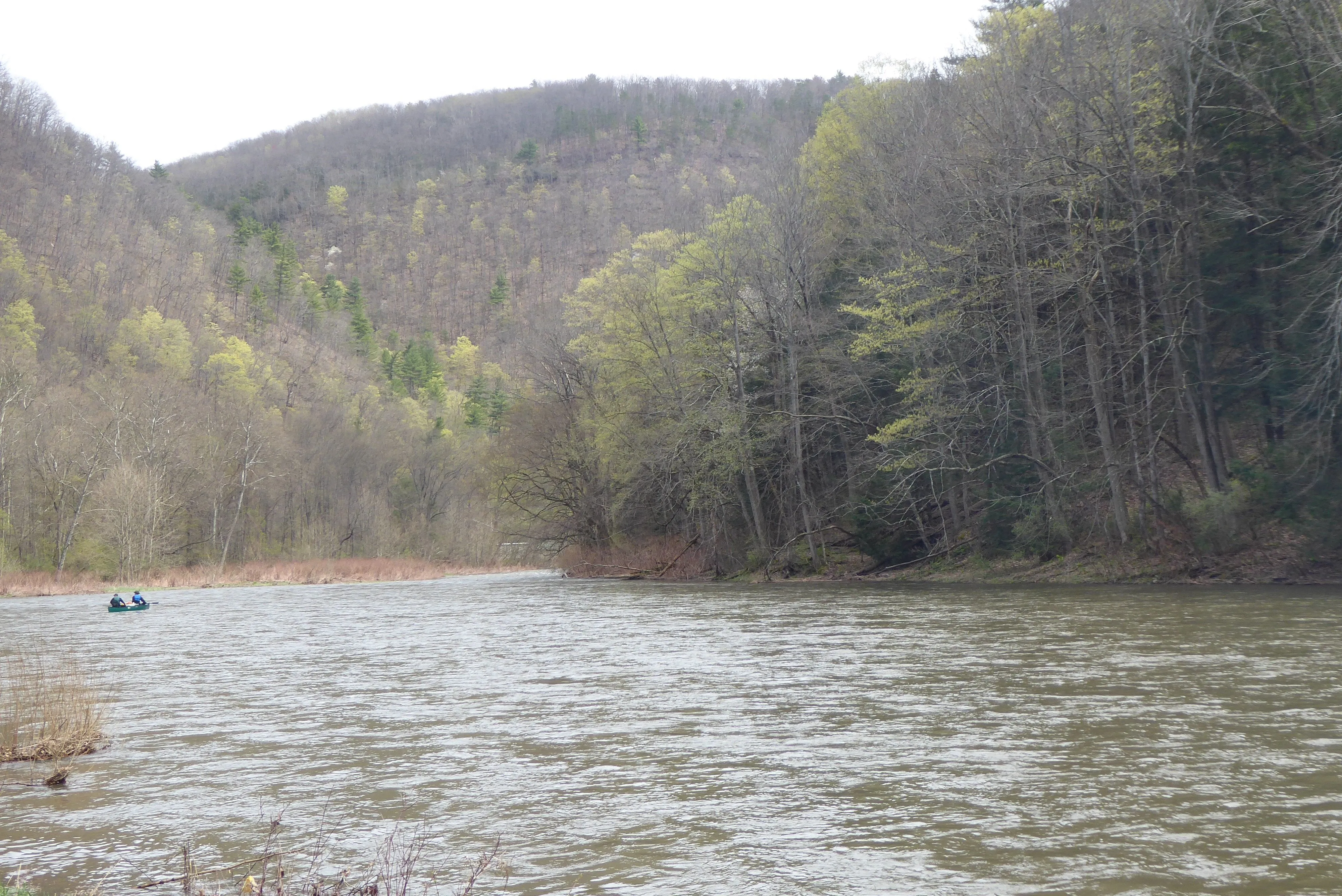 Pine Creek Lizard Map - Grand Canyon of Pennsylvania