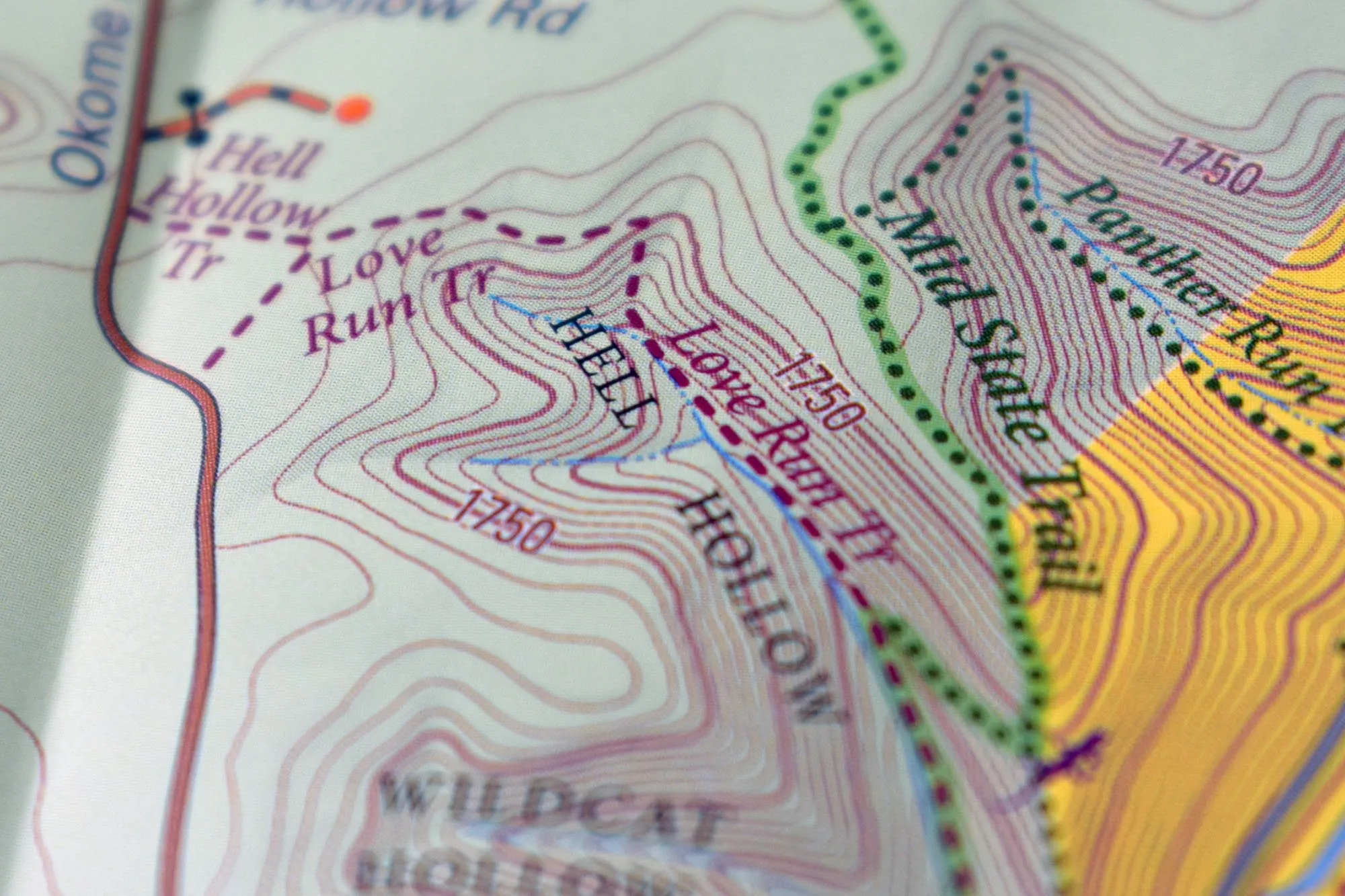 Pine Creek Lizard Map - Grand Canyon of Pennsylvania